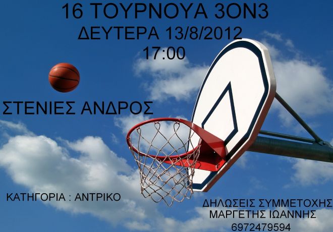 basket-3-3-8-2012-logo