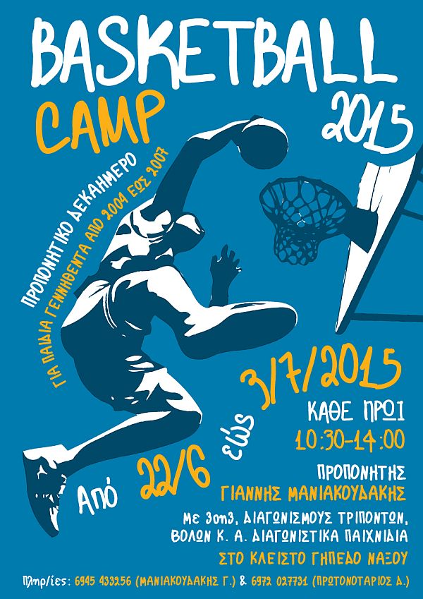 basketball camp poster 2015 TELIKO