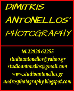 ANDROS ADONELOS PHOTO