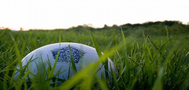 soccer_ball_grass