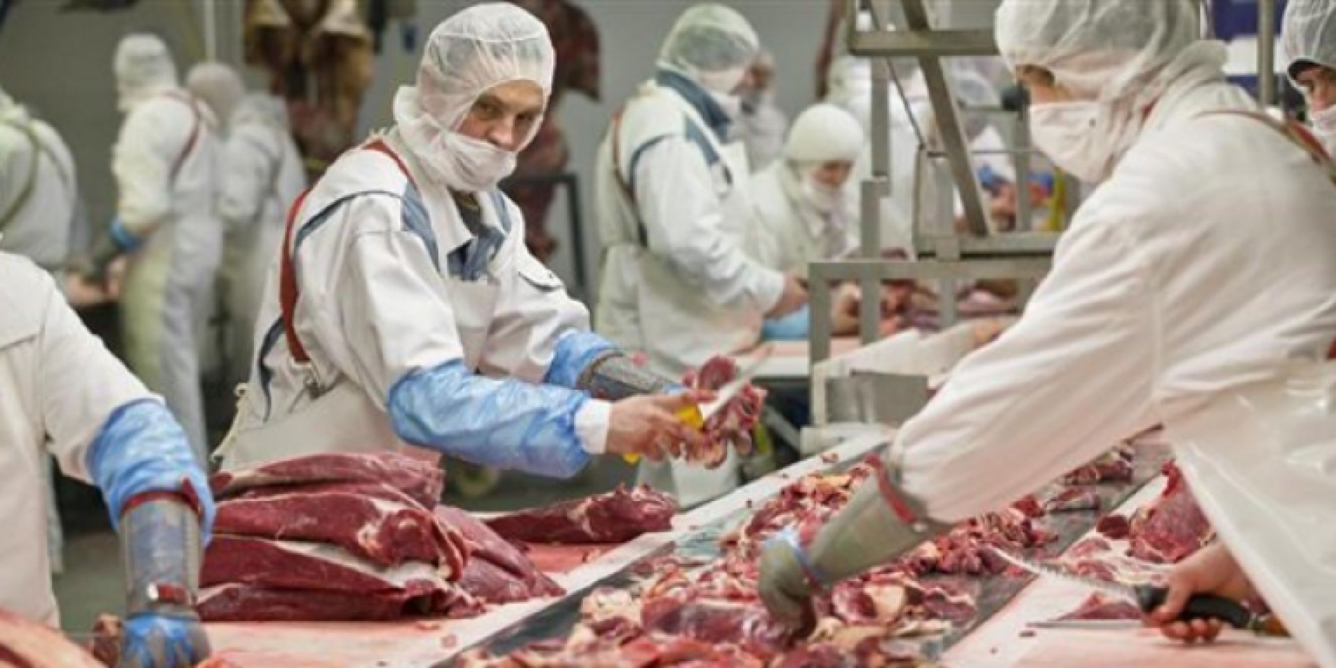 Αυτές είναι οι 23 εταιρείες που επιβλήθηκαν πρόστιμα λόγω που χρησιμοποιούσαν αλογίσιο κρέας