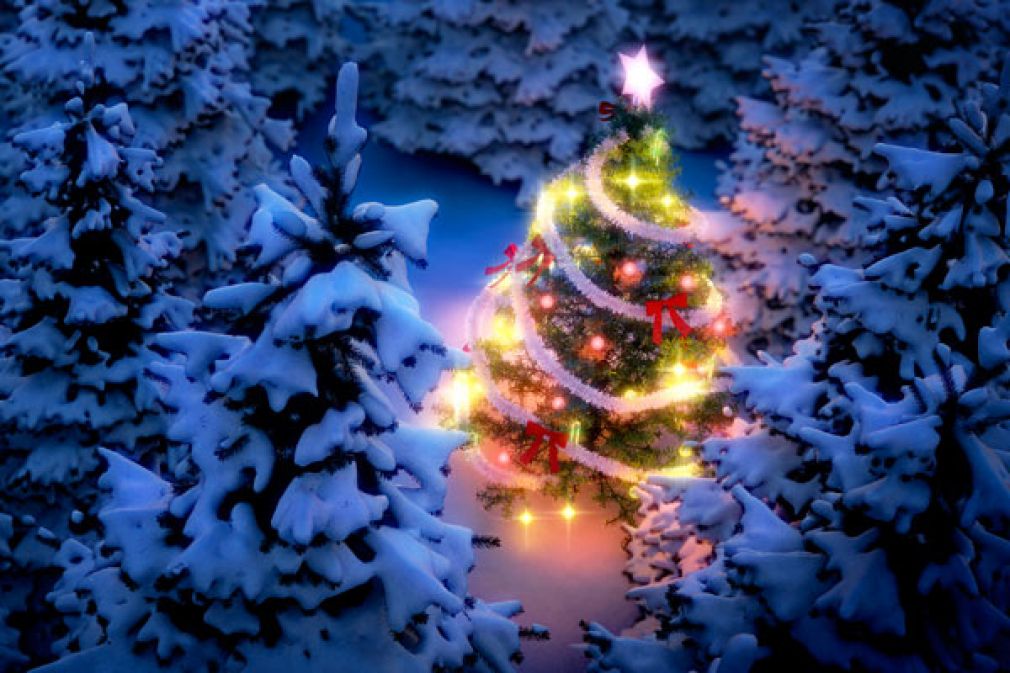 Ο Δ.Α.Π.Π.Ο.Σ ανάβει το χριστουγεννιάτικο δέντρο τη Δευτέρα 16/12 στις 18:00