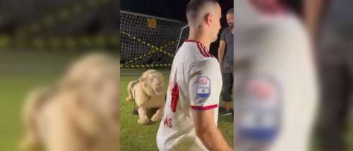 Τρομοκρατήθηκε από λιοντάρι στην παρουσίαση του ο Κώστας Μανωλάς (βίντεο)